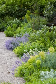 a gravel path surrounded by plants and trees