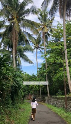 a person walking down a path in the jungle with palm trees behind them and a sign that says national tropical conservation park