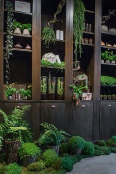 a room filled with lots of green plants and potted plants next to wooden shelves