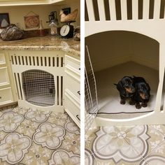 two pictures side by side one has a small dog in it's kennel