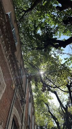 the sun shines brightly through the branches of trees in front of an old brick building