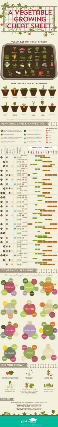 an info sheet showing the different types of food in each country, including meats and vegetables