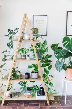 a wooden shelf filled with potted plants next to a wall mounted planter on top of a tiled floor