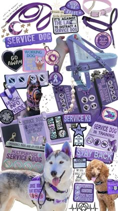 a collage of dog tags and stickers on a white background with the words service k9