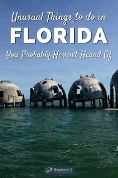 the words, unusual things to do in florida you probably haven't heard off