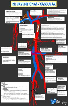 a poster with words and diagrams about the different types of vascur in human body