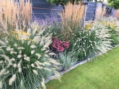 some very pretty flowers and plants by the side of a building with grass in it