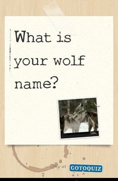 a piece of paper with the words what is your wolf name?