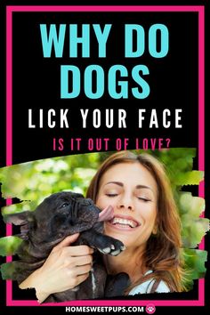 a woman holding a dog with the caption why do dogs lick your face? is it out of love?