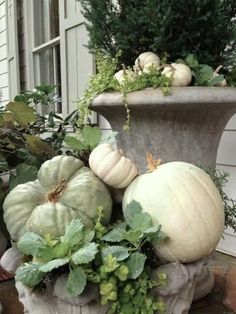 pumpkins and gourds are sitting in a planter on the front porch