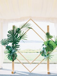 an instagramted photo with two plants in front of a window