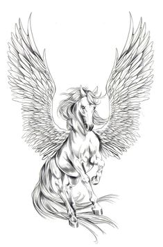 a black and white drawing of a horse with wings on it's back legs