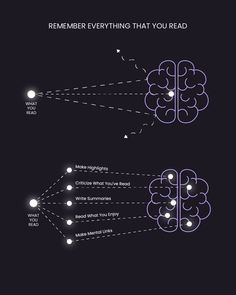 an image of the brain and its connections to each other, with text below it