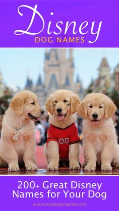 three puppies in front of a castle with the words disney dog names