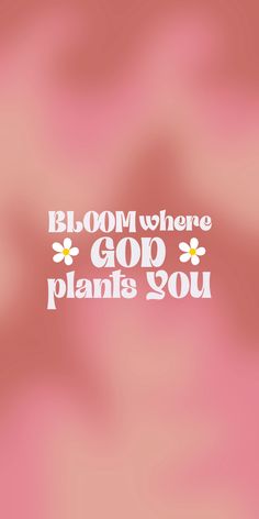 the words bloom where god plans you are