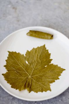 a white plate with a leaf on it