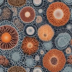 an image of many different types of corals in the ocean water, including sea urchins