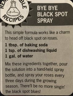 an old recipe card with instructions on how to use the black spot spray for baking