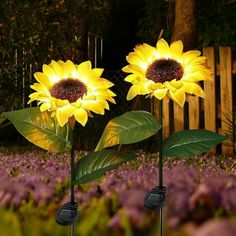 two yellow sunflowers are in the middle of purple flowers