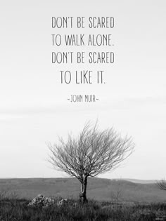 Scared Quotes, John Muir Quotes, Dont Be Scared, Inspirational Quotes Posters, Walk Alone, Quotes By Genres, John Muir