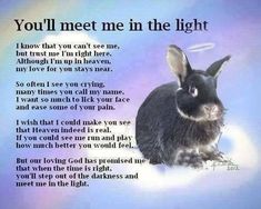 a rabbit sitting on top of a cloud filled sky with the words you'll meet me in the light