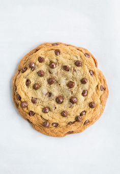 a chocolate chip cookie on a white background