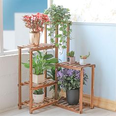 three wooden plant stands with potted plants on them