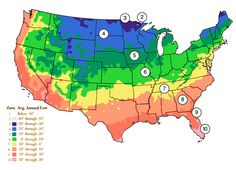 a map shows the range of land cover in each us state and its major cities