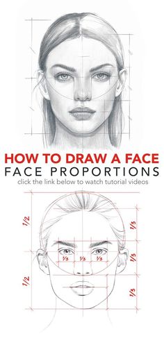 how to draw a face proportion