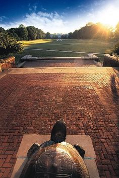 a large turtle sitting on top of a red brick walkway next to a park area