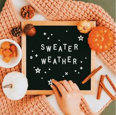 a person holding a chalkboard with the words sweater weather written on it surrounded by autumn decorations