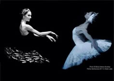 two ballerinas in white tutus and black background