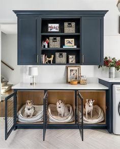 two dogs sitting in their kennels on top of the kitchen counter next to washer and dryer