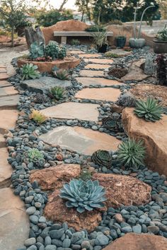 A refreshing rock garden with green and red succulents nestled between large, light-colored stones. Succulent Rock Garden Ideas, Succulent Rock Garden, Rock Garden Ideas, Waterwise Garden, Succulent Landscaping, Rock Garden Design, Rock Gardens, Colorful Succulents