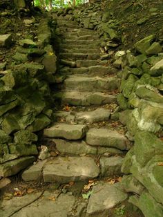 a stone path with moss growing on the sides