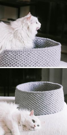 two pictures of a white cat laying on top of a bed next to a basket