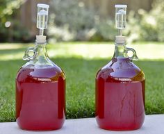 two jugs of liquid sitting on top of a cement slab in front of grass