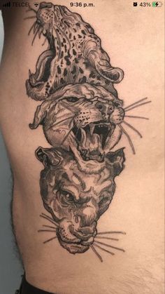 a man's stomach with an image of two cats on top of each other