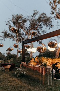 an outdoor area with hanging lights and flowers in the foreground, surrounded by trees