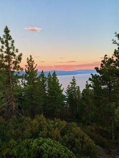 the sun is setting in the distance over some pine trees and water with mountains in the background