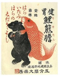 an image of a bear hugging a fish