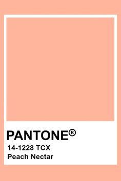 Peach Color Swatch, Peach Pantone, Peaches Aesthetic, Peach Nectar