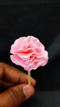 a person holding a pink flower in their hand