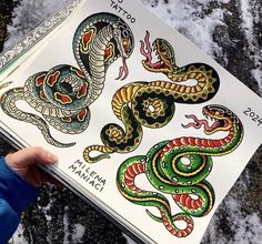 a hand holding a book with different colored snakes on it