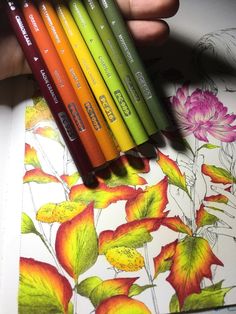 a person holding four crayons in their hand next to a drawing book with flowers on it