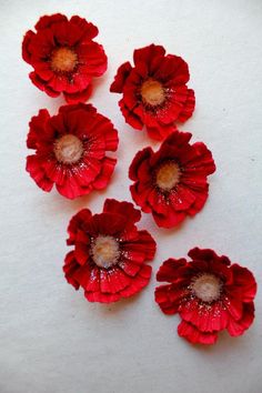 six red flowers with water droplets on them sitting on a white table top next to each other