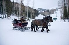 two people are riding in a horse drawn sleigh on a snowy mountain side