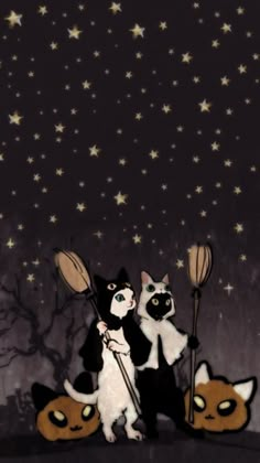 two black and white cats standing next to each other with brooms in their hands