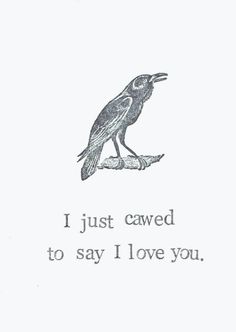 a bird sitting on top of a tree branch with the words i just carved to say i love you