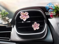 two pink flowers sitting on the dashboard of a car